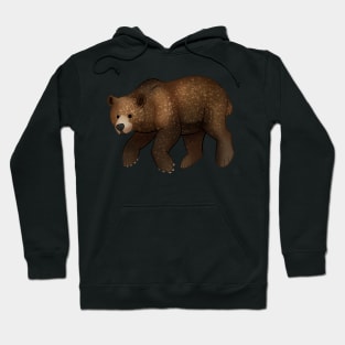 Cozy Grizzly Bear Hoodie